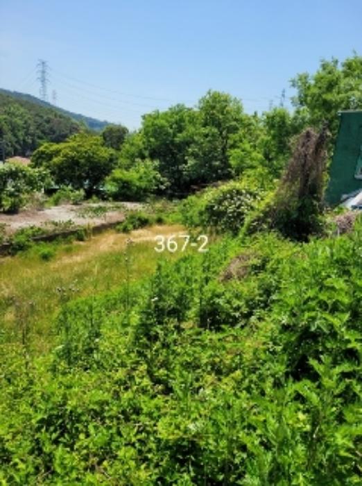 부산광역시 기장군 장안읍 용소리 328-5 축사(농가시설) 경매 사진 30