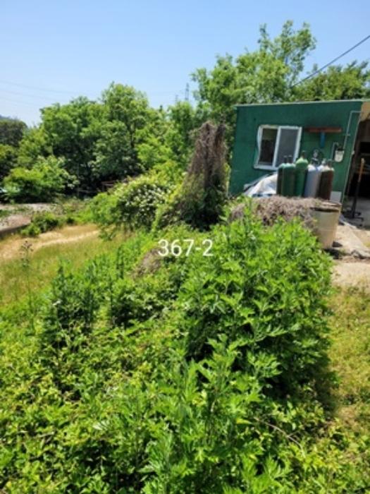 부산광역시 기장군 장안읍 용소리 328-5 축사(농가시설) 경매 사진 33