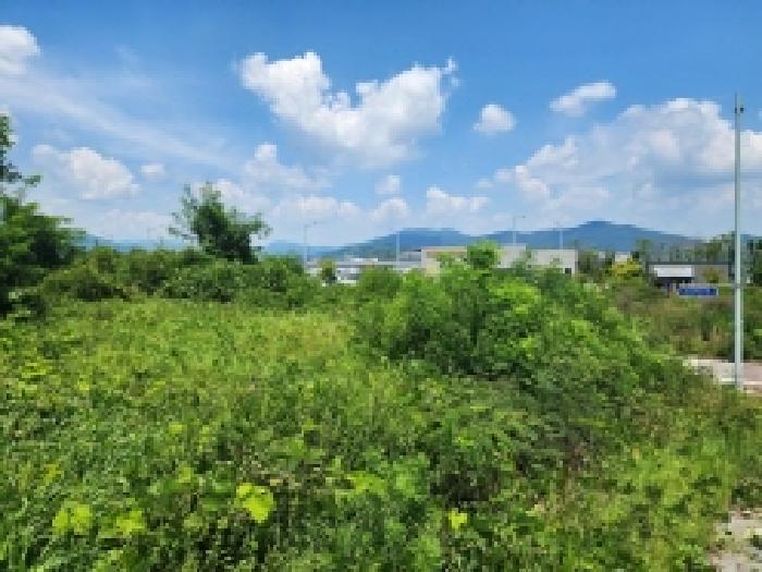 전라남도 광양시 옥곡면 신금리 1807 대지 경매 사진 21