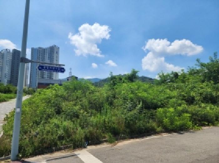 전라남도 광양시 옥곡면 신금리 1807 대지 경매 사진 22