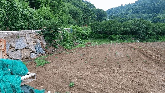 전라남도 광양시 옥곡면 신금리 1807 대지 경매 사진 5