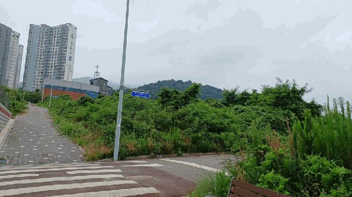 전라남도 광양시 옥곡면 신금리 1807 대지 경매 사진 6