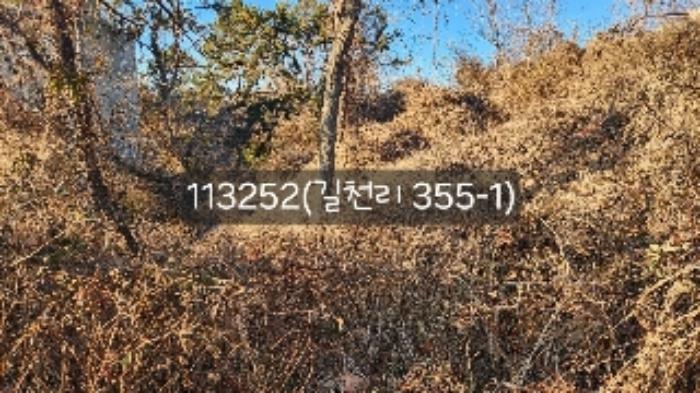 부산광역시 기장군 장안읍 길천리 산81 임야 경매 사진 10