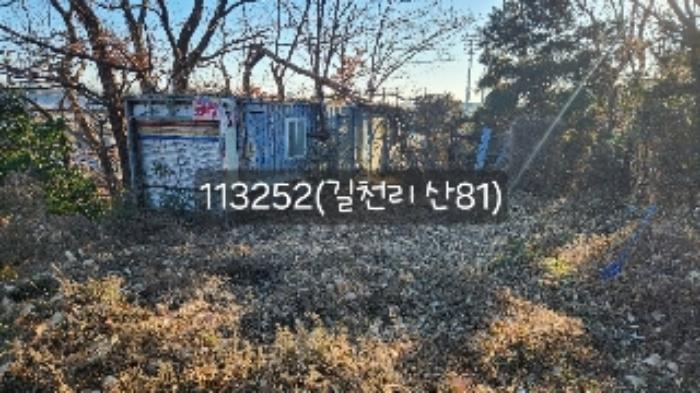 부산광역시 기장군 장안읍 길천리 산81 임야 경매 사진 13