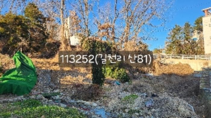부산광역시 기장군 장안읍 길천리 산81 임야 경매 사진 16