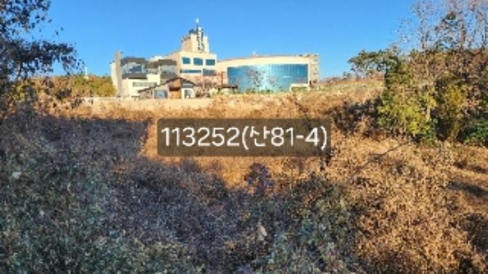 부산광역시 기장군 장안읍 길천리 산81 임야 경매 사진 19