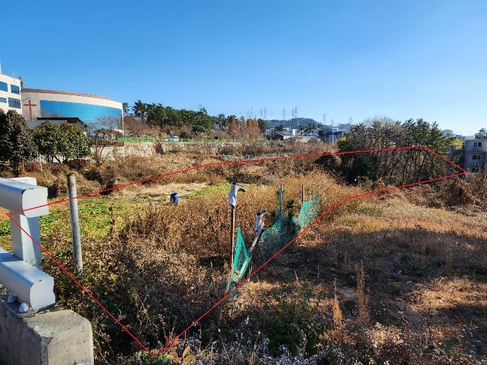 부산광역시 기장군 장안읍 길천리 산81 임야 경매 사진 6