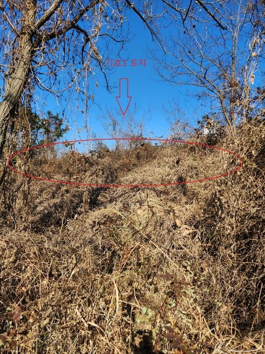 부산광역시 기장군 장안읍 길천리 산81 임야 경매 사진 7