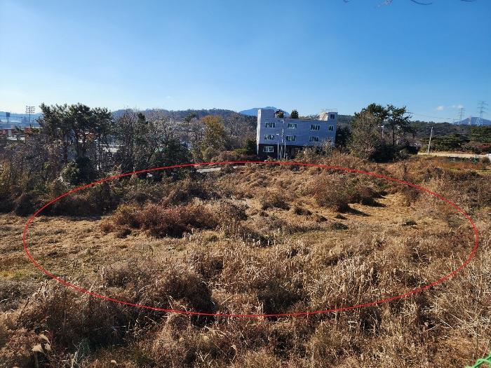 부산광역시 기장군 장안읍 길천리 산81-4 임야 경매 사진 2