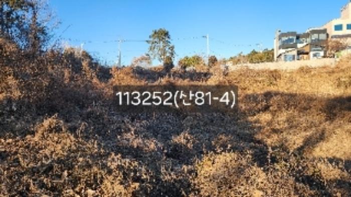부산광역시 기장군 장안읍 길천리 산81-4 임야 경매 사진 20