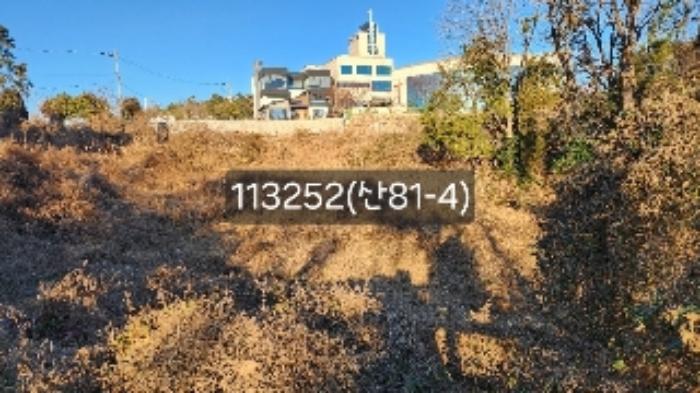 부산광역시 기장군 장안읍 길천리 산81-4 임야 경매 사진 21
