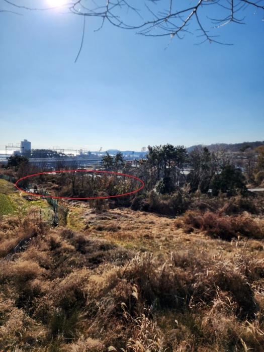 부산광역시 기장군 장안읍 길천리 산81-4 임야 경매 사진 3