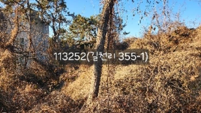 부산광역시 기장군 장안읍 길천리 355-1 전 경매 사진 11