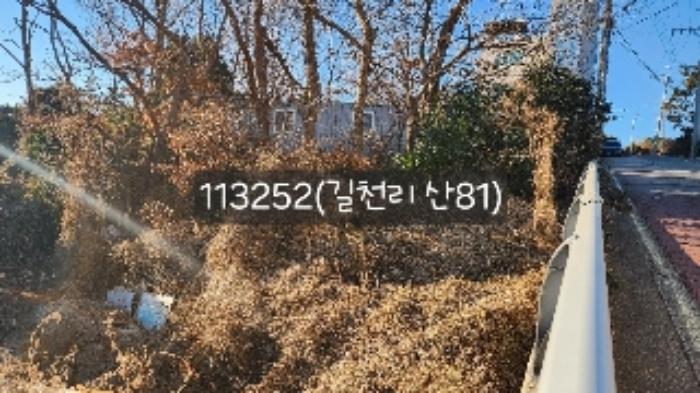부산광역시 기장군 장안읍 길천리 355-1 전 경매 사진 17