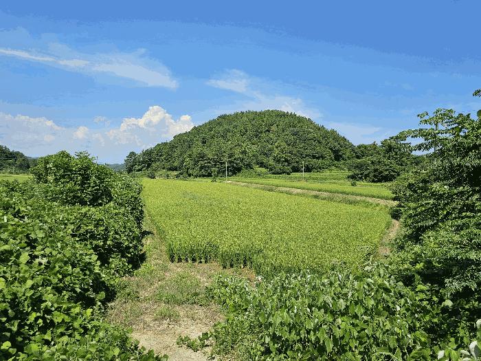 전라남도 고흥군 과역면 도천리 1375 전 경매 사진 1