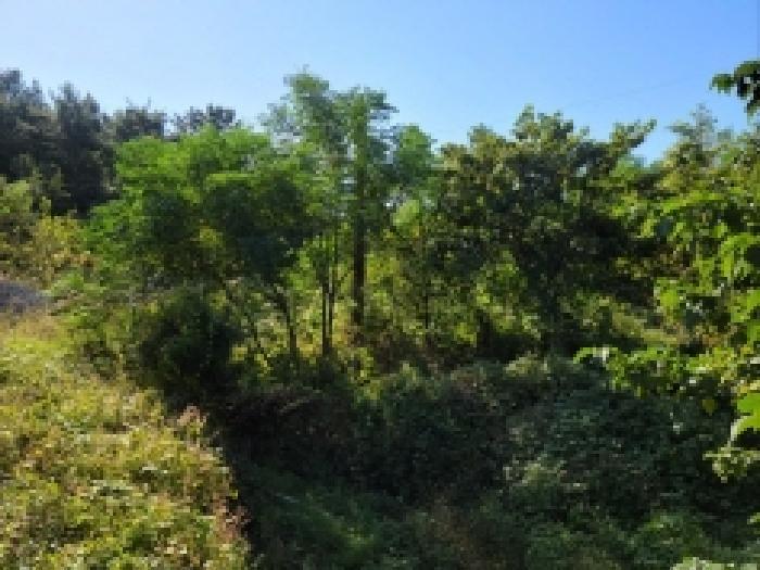 전라남도 고흥군 도덕면 가야리 1223 창고 경매 사진 19