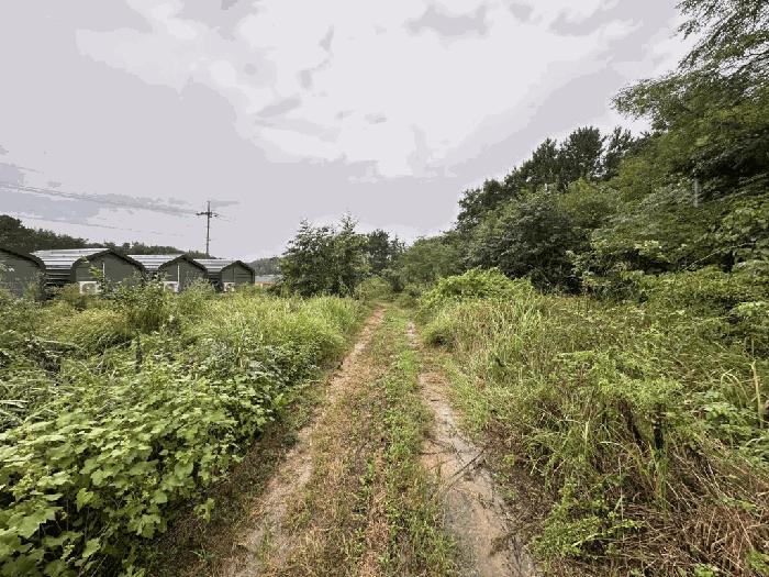 전라남도 고흥군 도덕면 가야리 1223 창고 경매 사진 5