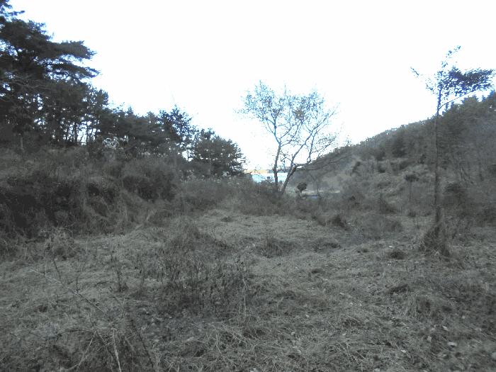 경상남도 통영시 도산면 오륜리 180 답 경매 사진 13
