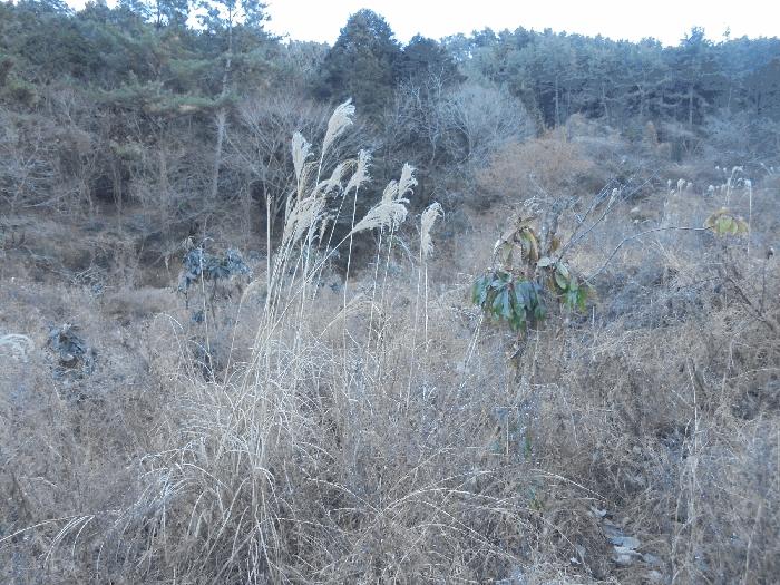 경상남도 통영시 도산면 오륜리 180 답 경매 사진 18