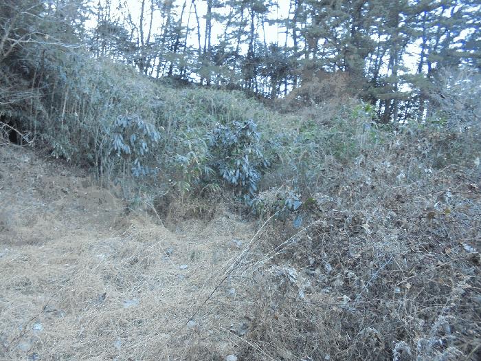 경상남도 통영시 도산면 오륜리 180 답 경매 사진 21