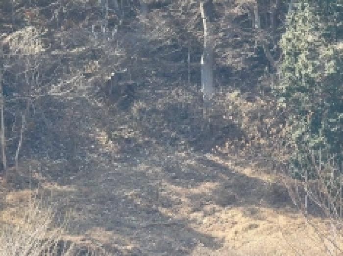 경상남도 통영시 도산면 오륜리 180 답 경매 사진 25