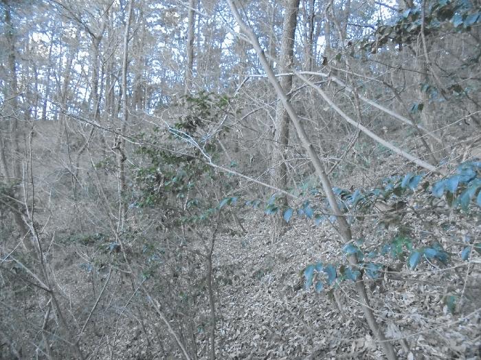 경상남도 통영시 도산면 오륜리 180 답 경매 사진 4
