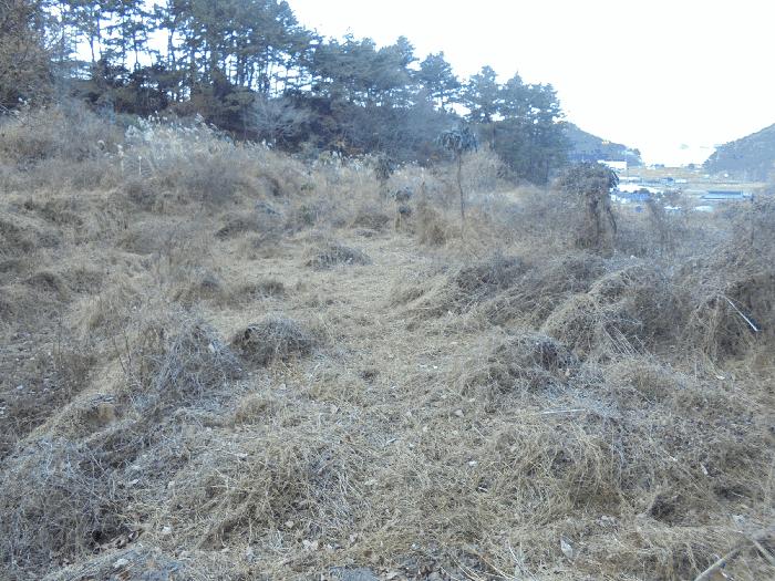 경상남도 통영시 도산면 오륜리 180 답 경매 사진 6