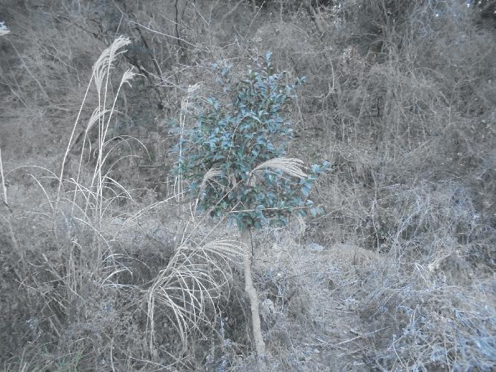 경상남도 통영시 도산면 오륜리 180 답 경매 사진 9