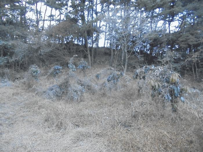 경상남도 통영시 도산면 오륜리 308 전 경매 사진 12