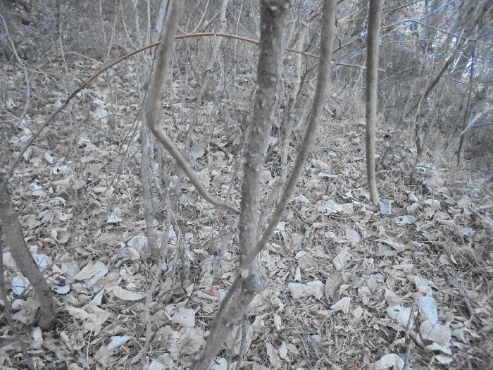 경상남도 통영시 도산면 오륜리 308 전 경매 사진 24