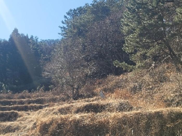 경상남도 통영시 도산면 오륜리 308 전 경매 사진 26