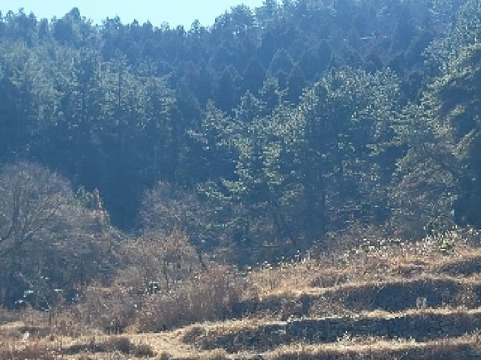 경상남도 통영시 도산면 오륜리 308 전 경매 사진 30