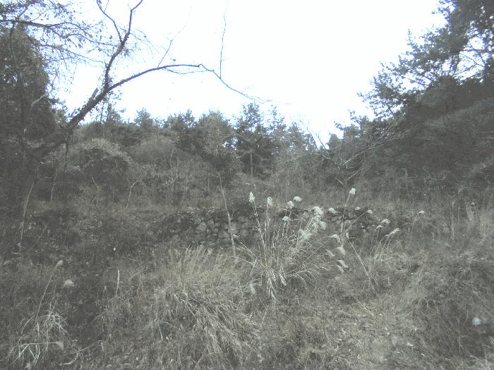 경상남도 통영시 도산면 오륜리 308 전 경매 사진 8