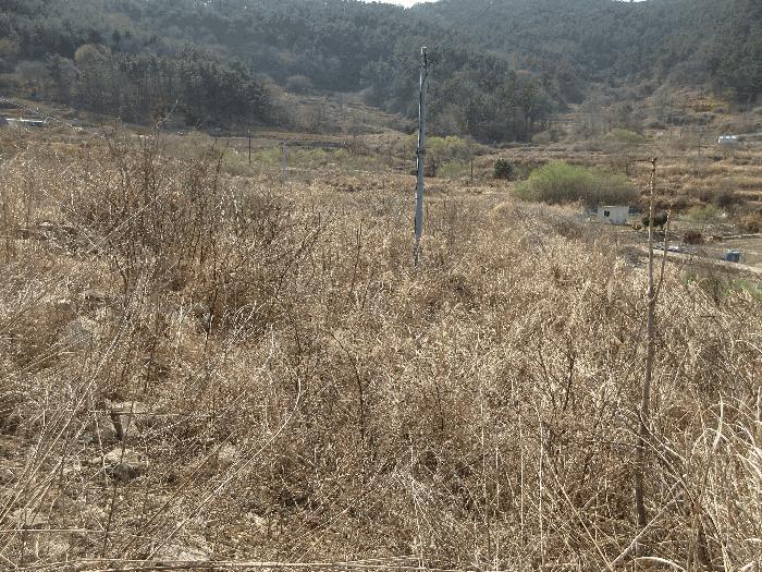 경상남도 고성군 동해면 외산리 93 답 경매 사진 7