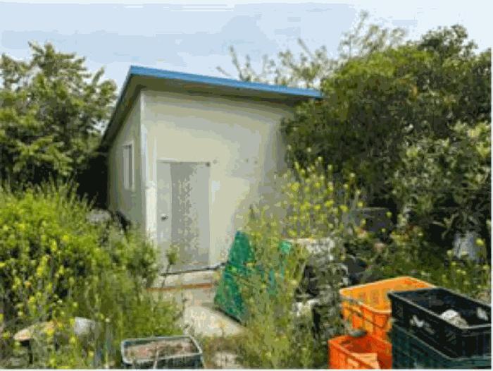 전라남도 진도군 지산면 오류리 66 주택 경매 사진 1