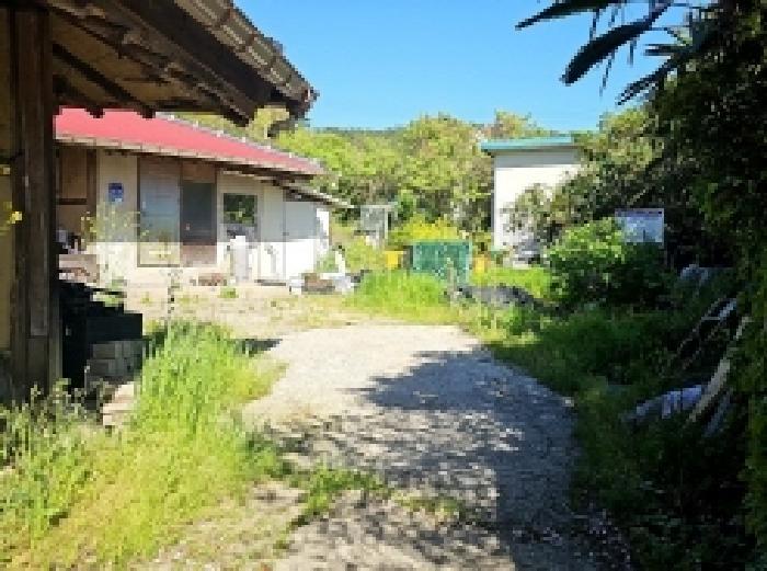 전라남도 진도군 지산면 오류리 66 주택 경매 사진 6