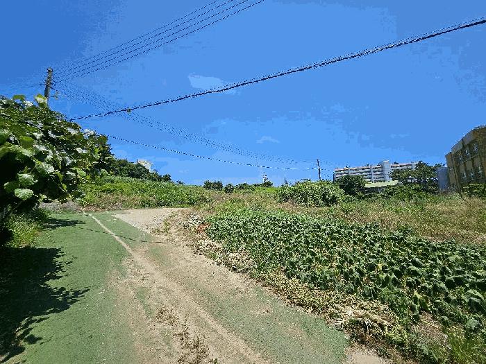 전라남도 완도군 완도읍 가용리 6 전 경매 사진 1