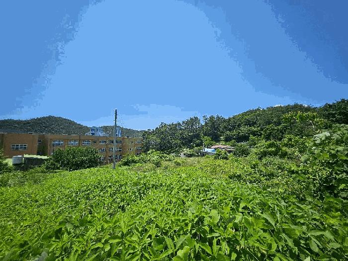 전라남도 완도군 완도읍 가용리 6 전 경매 사진 12