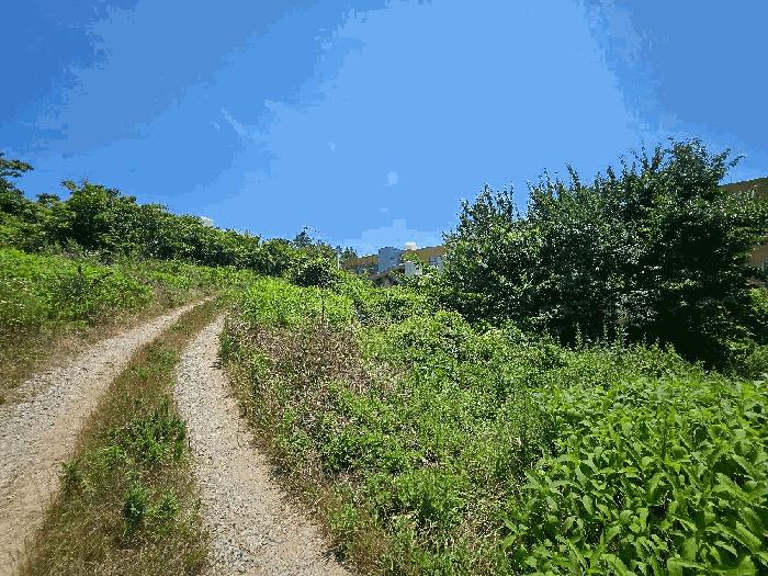 전라남도 완도군 완도읍 가용리 6 전 경매 사진 14