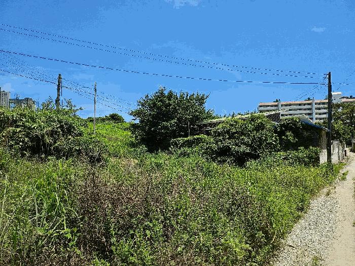 전라남도 완도군 완도읍 가용리 6 전 경매 사진 15