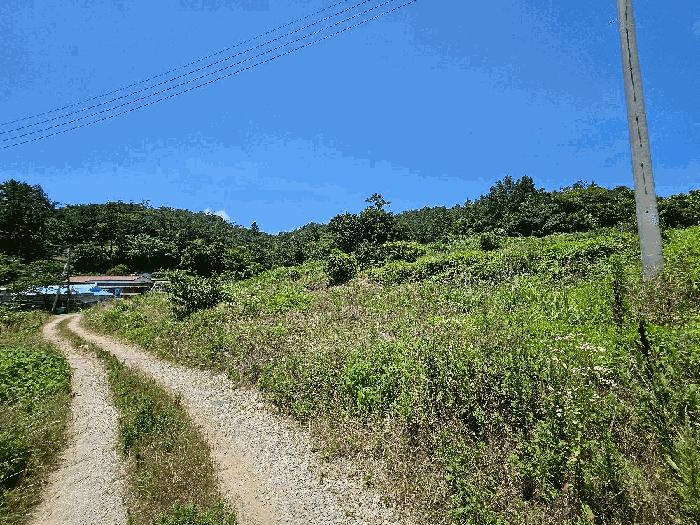 전라남도 완도군 완도읍 가용리 6 전 경매 사진 18