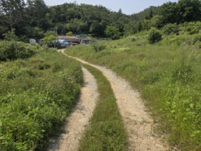 전라남도 완도군 완도읍 가용리 6 전 경매 사진 19