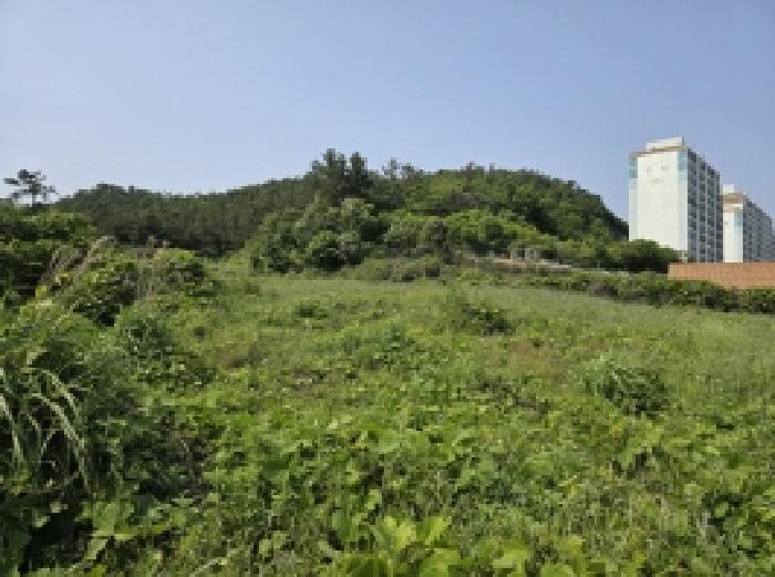 전라남도 완도군 완도읍 가용리 6 전 경매 사진 23