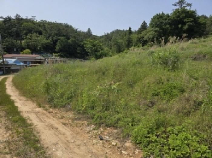 전라남도 완도군 완도읍 가용리 6 전 경매 사진 25