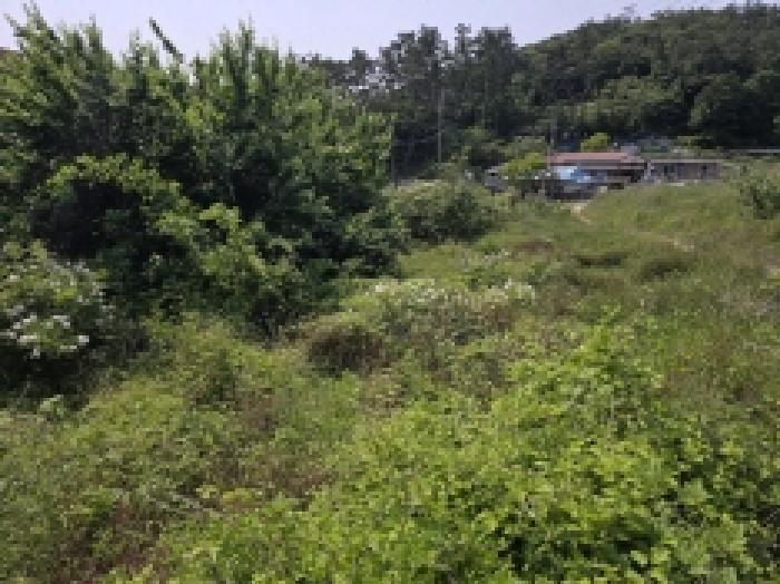 전라남도 완도군 완도읍 가용리 6 전 경매 사진 26