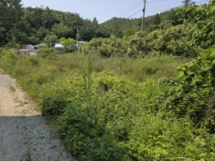 전라남도 완도군 완도읍 가용리 6 전 경매 사진 27
