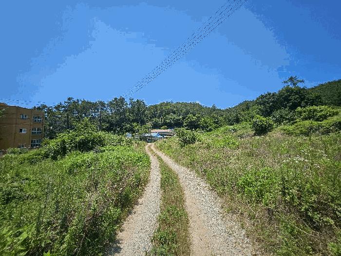 전라남도 완도군 완도읍 가용리 6 전 경매 사진 3