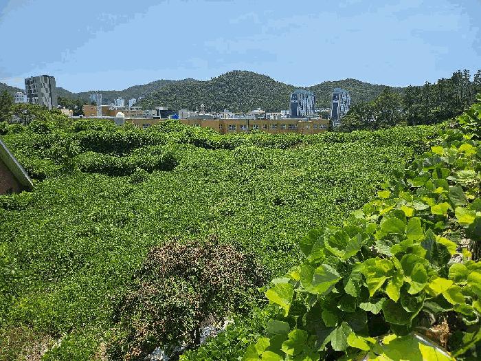 전라남도 완도군 완도읍 가용리 6 전 경매 사진 5