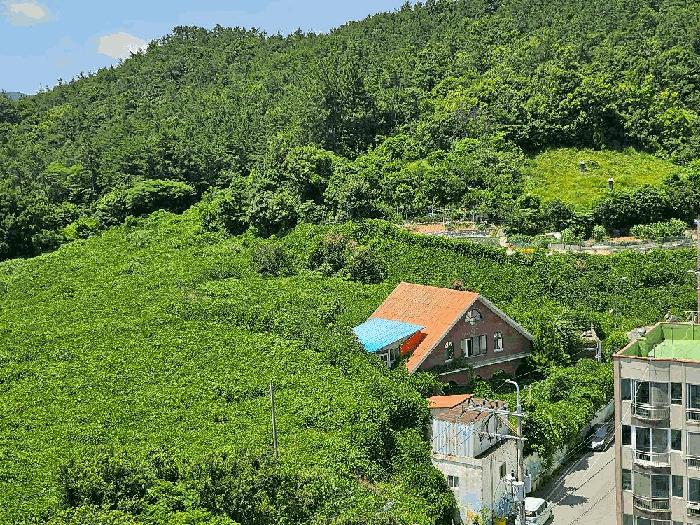 전라남도 완도군 완도읍 가용리 6 전 경매 사진 6