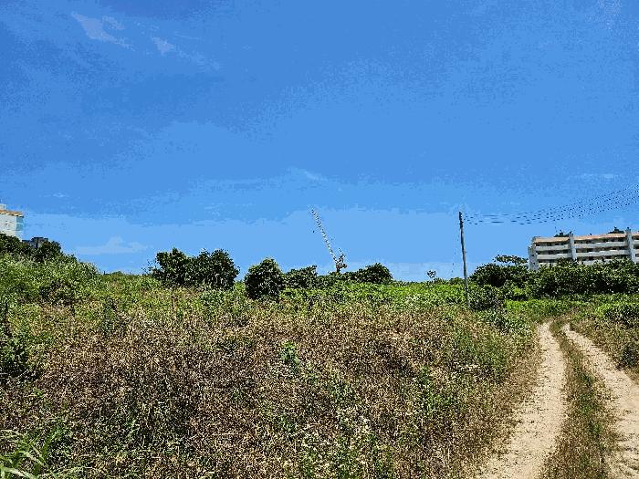 전라남도 완도군 완도읍 가용리 6 전 경매 사진 7